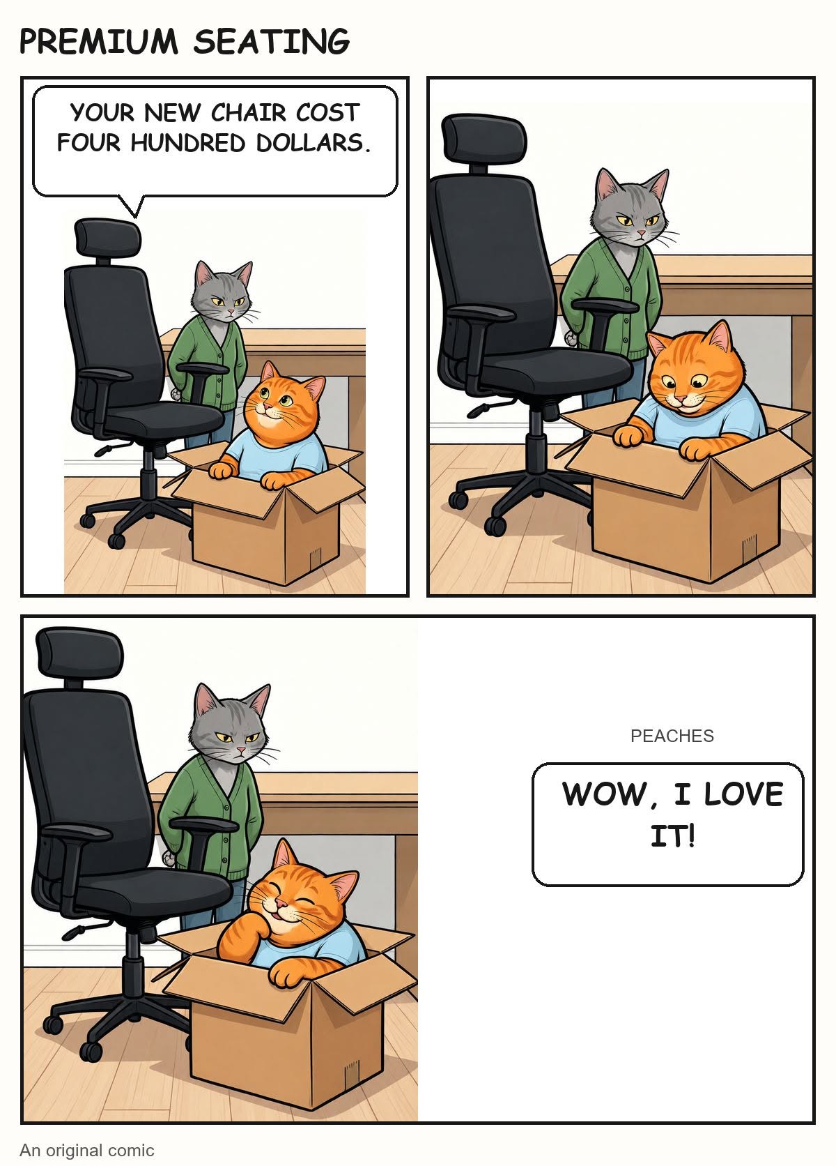 Premium Seating: Milo points out a four-hundred-dollar chair while Peaches happily claims its cardboard box.