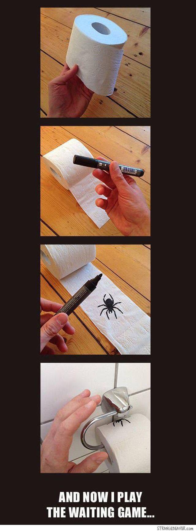 A prank in four photos: draw a spider on toilet paper, put the roll back, and play the waiting game.